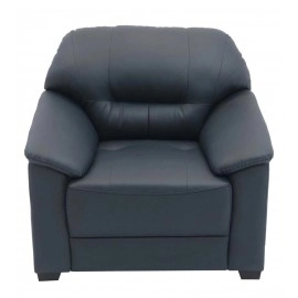 Croma Leatherette 1 Seater Sofa in Dark Blue Colour