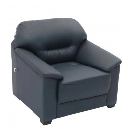 Croma Leatherette 1 Seater Sofa in Dark Blue Colour