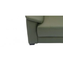 Croma Leatherette 3 Seater Sofa in Olive Green Colour