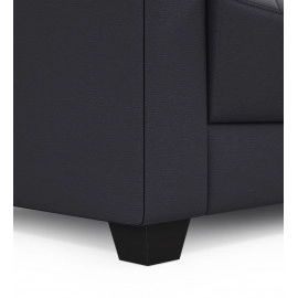 Croma Leatherette 1 Seater Sofa in Black Colour